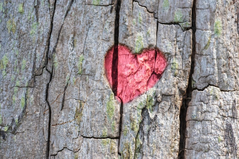 Nature Art